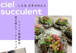 しえる さきゅれんと